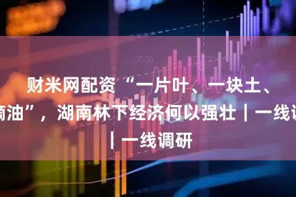 财米网配资 “一片叶、一块土、一滴油”，湖南林下经济何以强壮｜一线调研