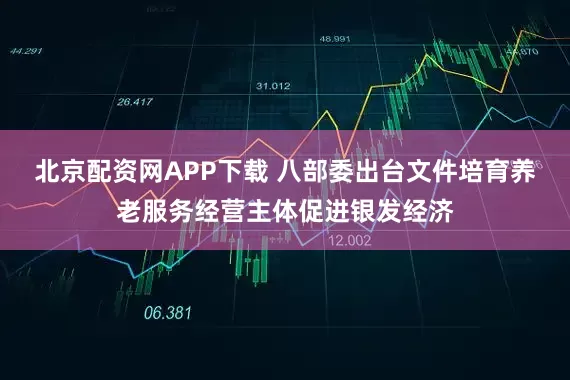 北京配资网APP下载 八部委出台文件培育养老服务经营主体促进银发经济